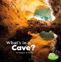 What's in a Cave?