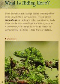 Windows on Literacy Fluent Plus (Science: Life Science): Strange Animals