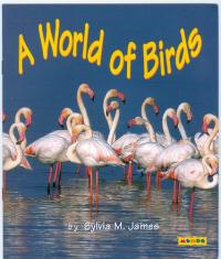 A World of Birds