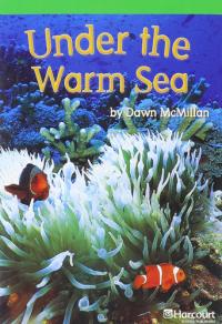 Under the Warm Sea
