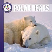 Polar Bears Nonfiction Indigo Set