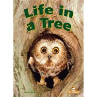 Systems: Life in a tree