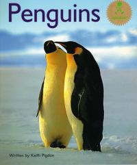 Penguins