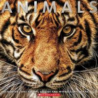 Animals: Witness Life in the Wild Featuring 100s of Species