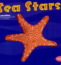 Sea Stars