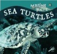 Sea Turtles (Marine Life)