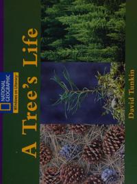 Windows on Literacy Early (Science: Life Science): a Tree's Life