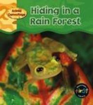 Hiding in a Rain Forest (Animal Camouflage)