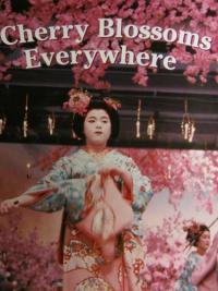 Cherry Blossoms Everywhere