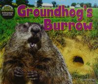 Groundhog's Burrow
