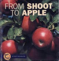 From Shoot to Apple