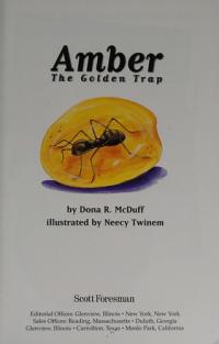 Amber The Golden Trap