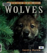 Growing Up Wild Wolves