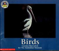 Birds