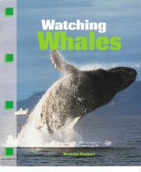 Watching Whales