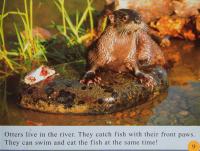 Windows on Literacy Fluent (Social Studies: Geography): River Life