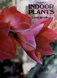 The Love of Indoor Plants