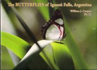 The Butterflies of Iguazú Falls, Argentina