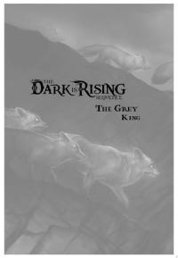 The Grey King