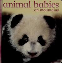 Animal Babies on Mountains