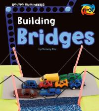 Building Bridges
