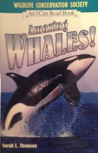 Amazing Whales!