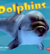 Dolphins