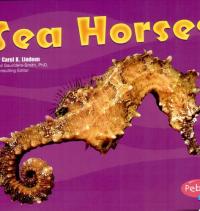 Sea Horses