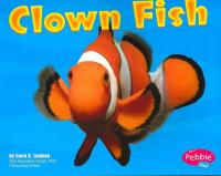Clown Fish