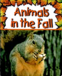 Animals in the Fall