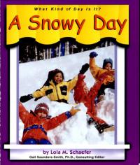 A Snowy Day
