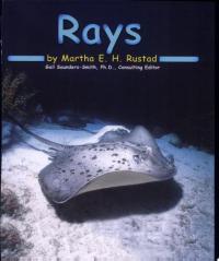 Rays
