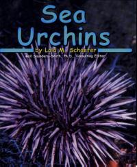 Sea Urchins