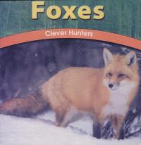 Foxes Clever Hunters