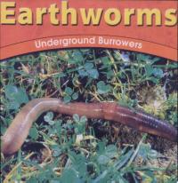 Earthworms Underground Burrowers