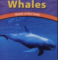 Whales Giants of the Deep