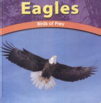 Eagles Birds of Prey