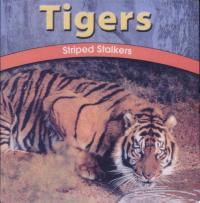 Tigers Striped Stalkers