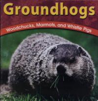 Groundhogs Woodchucks, Marmots, and Whistle Pigs