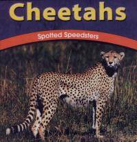 Cheetahs Spotted Speedsters