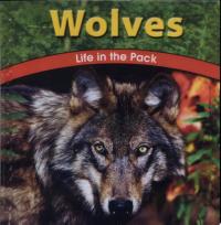 Wolves Life in the Pack