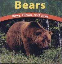 Bears Paws, Claws, and Jaws