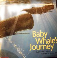 Baby Whale's Journey
