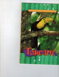 Toucans