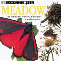 Meadow