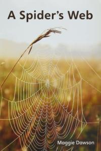 Myview Literacy 2020 Leveled Reader Grade 1: a Spiders Web