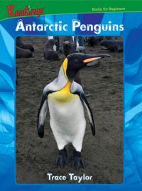 Antarctic Penguins