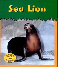 Sea Lion