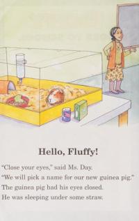 Fluffy's School Adventures