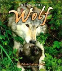 The Life Cycle of a Wolf